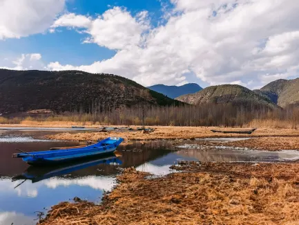 Winning Casino Mobile App